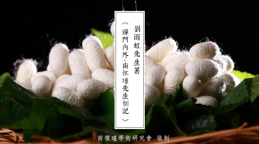 「 南怀瑾先生侧记 」不见面的吐丝人